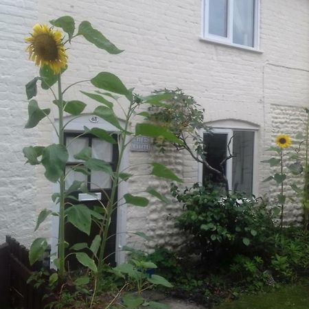 Mauds Cottage 1 West Raynham Exterior foto